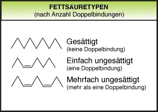 Gesattigte ungesattigte fette