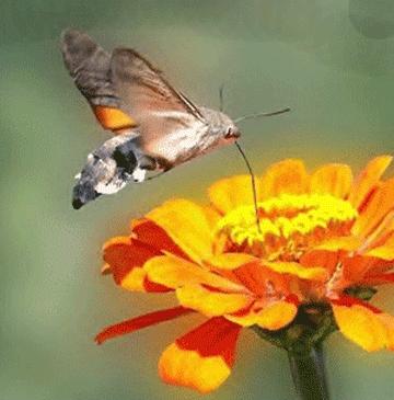 Ist er in mich verliebt Ist er in mich verliebt