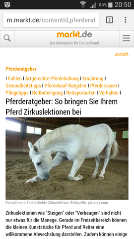 Da siehst du wie sie heißt und aussieht !😊 - (Pferde, Pony, Tricks)