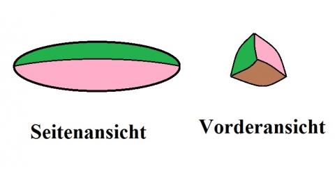 - (Spiele, Games, Spaß)