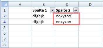 Ergebnis der Filterung - (Microsoft Excel, VBA)