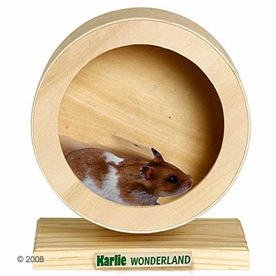 Laufrad Hamster - (Physik, Bewegung, Bezugskörper)