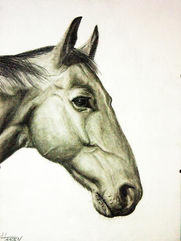 Wie Zeichne Ich Schattierungen Besonders Bei Tieren Pferden Ein