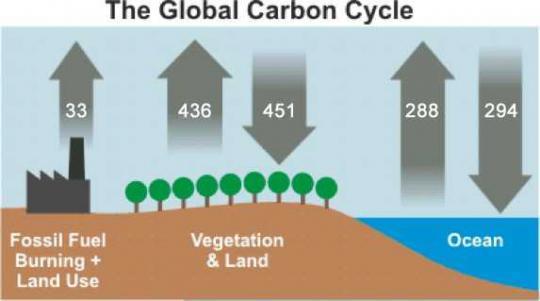 Kohlenstoffkreislauf - (Physik, Treibhauseffekt)