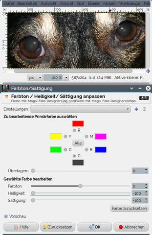 grün geblitze Hundeaugen abdunkeln mit Gimp - (Bildbearbeitung, GIMP, fotografieren)