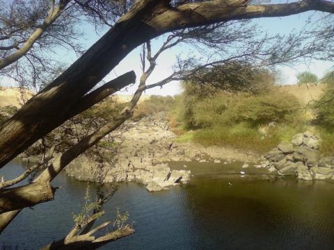 Nil Ostufer b Aswan - (Urlaub, Reise, Strand)