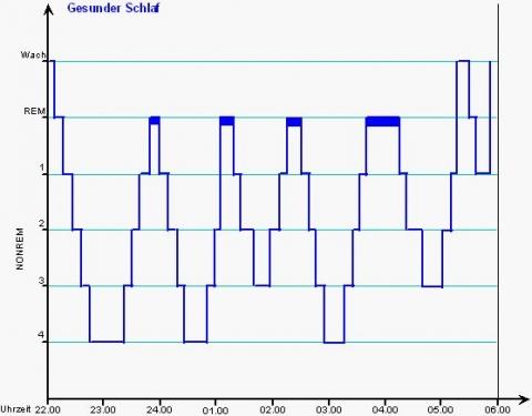 Unterschied Zwischen Schlaf Und Ohnmacht Unterschied Zwischen Schlaf Und Ohnmacht