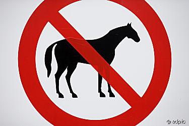Pferde verboten - (Pferd, Reiten, Wald)