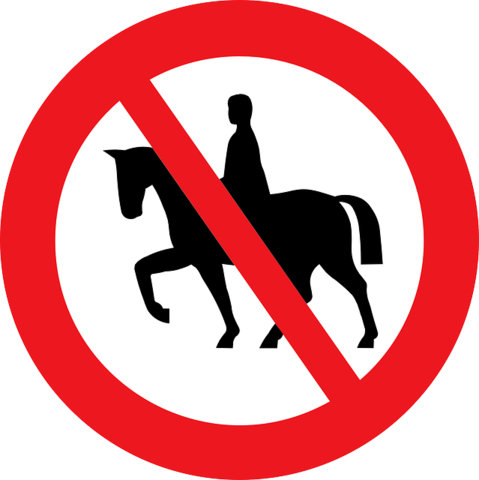 Reiten verboten - (Pferd, Reiten, Wald)