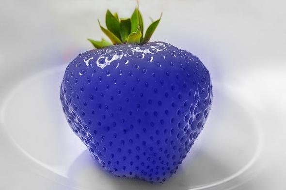 blaue Erdbeere - (Fake, blau, Erdbeeren)