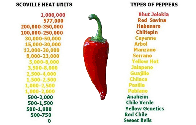 Takis Chips Scoville Scale