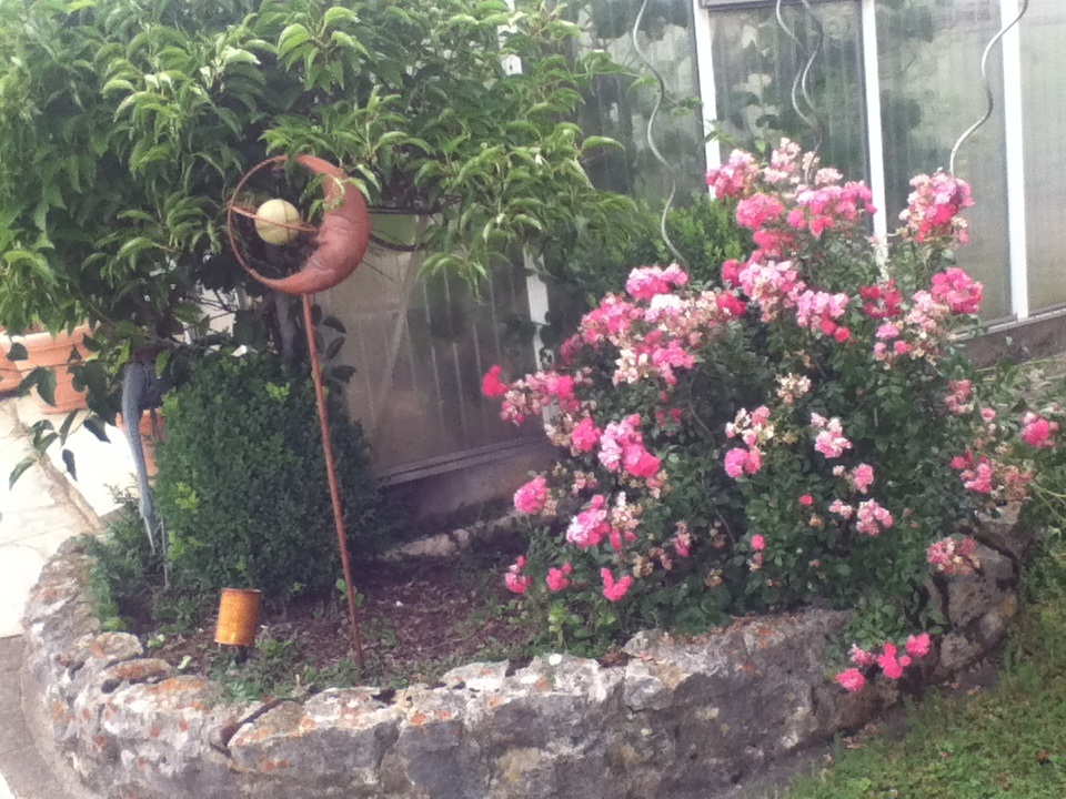 Hat jemand tolle Gartenideen für meinen verhunzten Garten