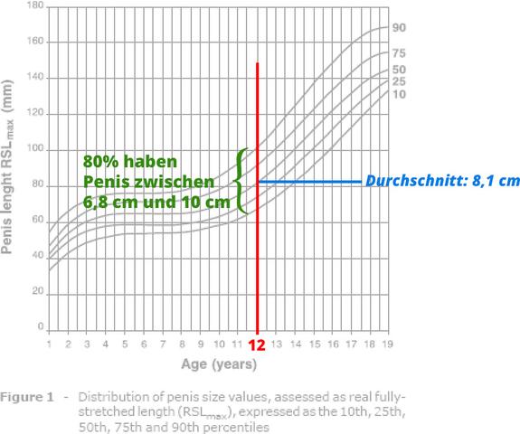 Statistik penisgröße Penisgrößen in