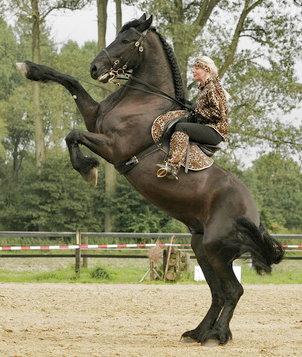 Etwas wieder gut machen Etwas wieder gut machen