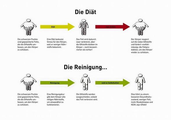 Abnehmen Hungerstoffwechsel