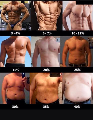- (Diät, Fitnessstudio, Krafttraining)