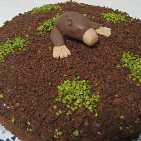 - (Geburtstag, Rezept, backen)