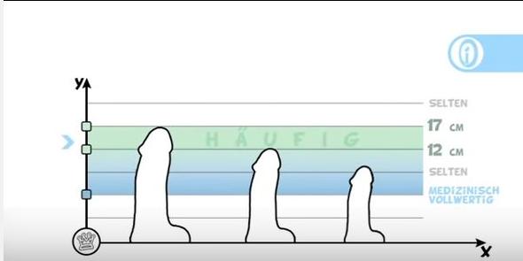 Wie groГџ ist der durchschnittliche Penis