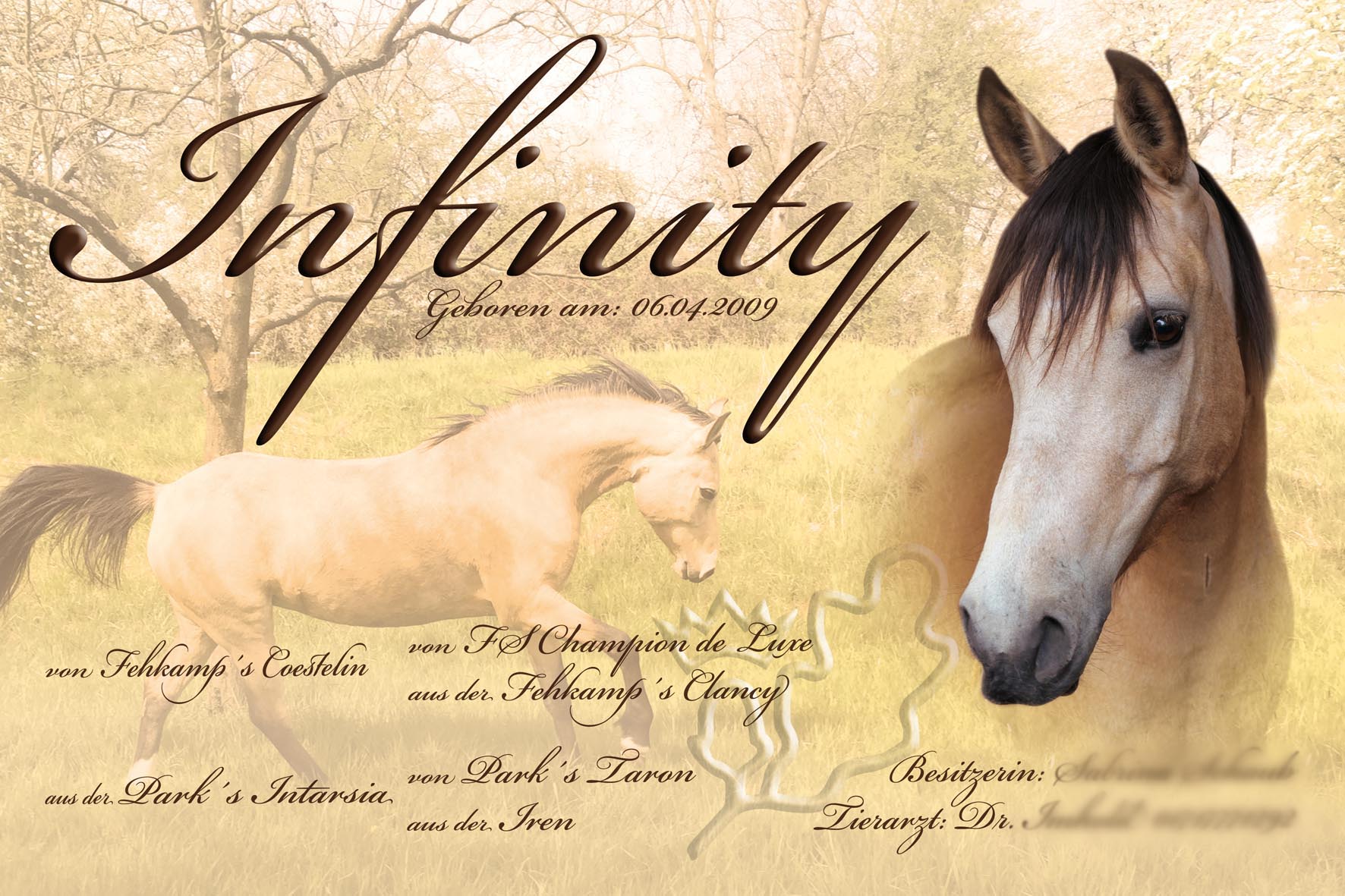 boxenschild boxenschild