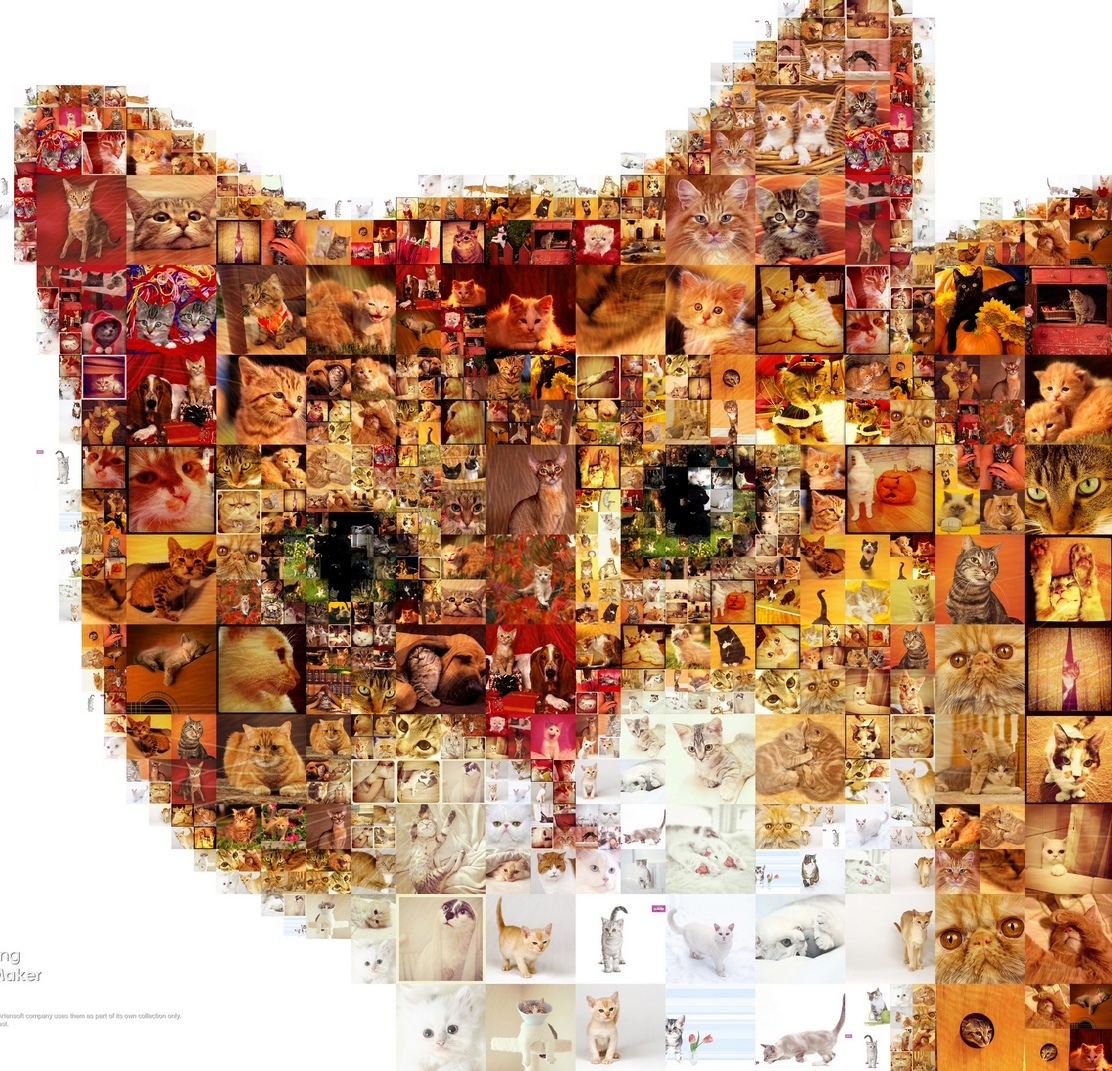 Wie kann ich ein Mosaik Poster machen bzw bestellen Wie kann ich ein Mosaik Poster machen bzw bestellen