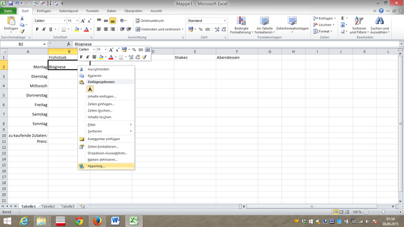 - (Excel, einkaufen, Plan)