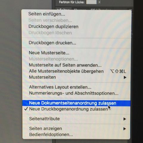 Wie Erstelle Ich In Indesign Ein Dokument Das Sowohl Hoch Als Auch Querformat Seiten Hat Computer Design Photoshop