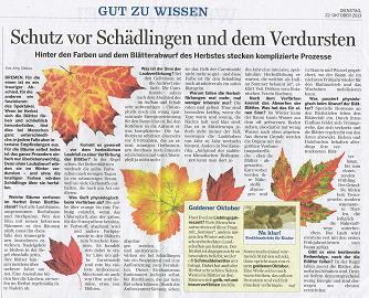 Herbst - (Biologie, Baum, Herbst)
