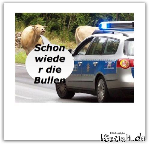 - (Recht, Angst, Wohnung)
