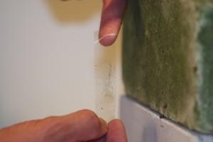 schimmeltest.org - (Wohnung, Schimmeltest)