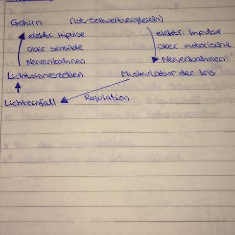 Wenn du irgendetwas nicht verstehst an der Skizze, frag einfach. :) - (Schule, Arbeit, Angst)