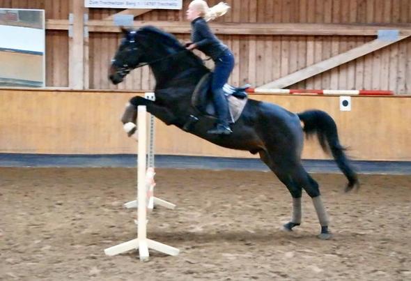 spring - (Pferde, reiten, springen)