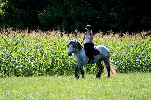 Hier reite ich mit einem "ganz schlimmen" Gebiss :P - (Pferde, reiten, Stall)