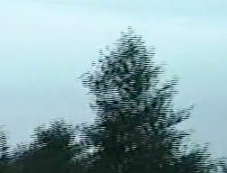 - (Video, umwandeln)