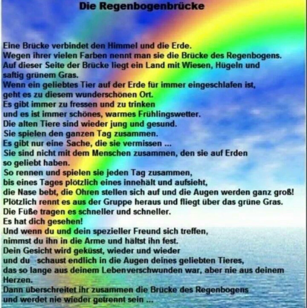 Wwwprinzenhauscom Reiten Ist Die Kunst Ein Pferd Zwischen Sich Und