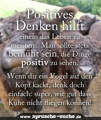 Spruche Die Zeigen Dass Man Freude Am Leben Hat Whatsapp Zitat