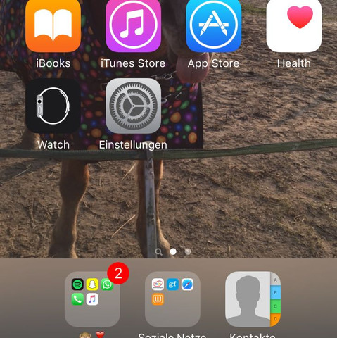Wie bekomme ich den grauen Balken bei Iphone 5s weg? (Technik, Handy ...
