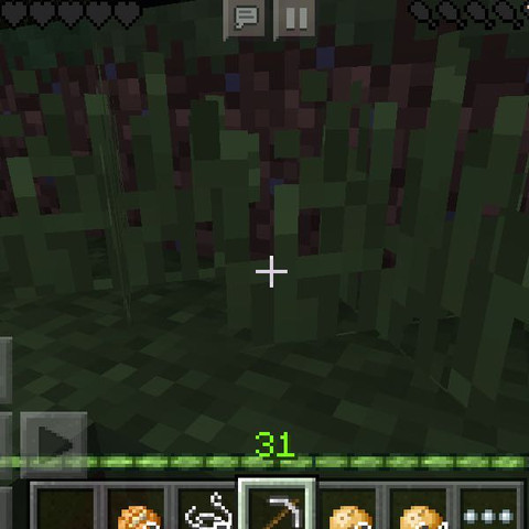 Dieses Gras - (MINECRAFT PE, Samen)