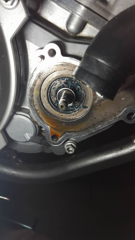 Hier ein Bild von dem kaputten Simmerring den ich versucht habe zu entfernen - (Technik, Motorrad, Motor)