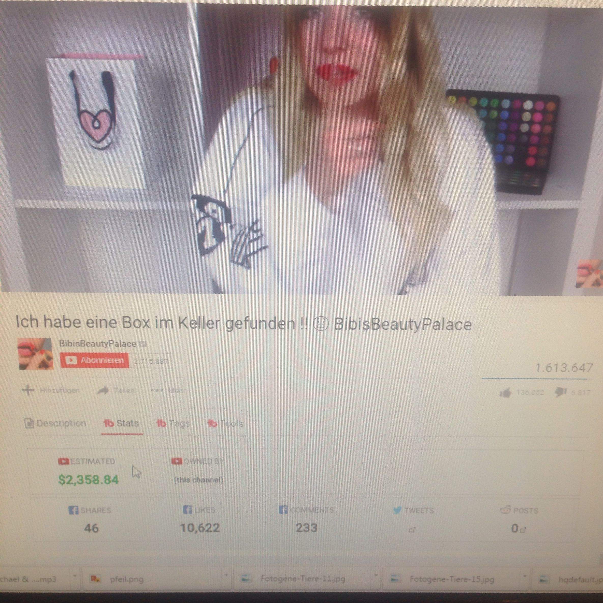 Wie Viel Verdient Besitzt Bibisbeautypalace Geld Youtube Lohn