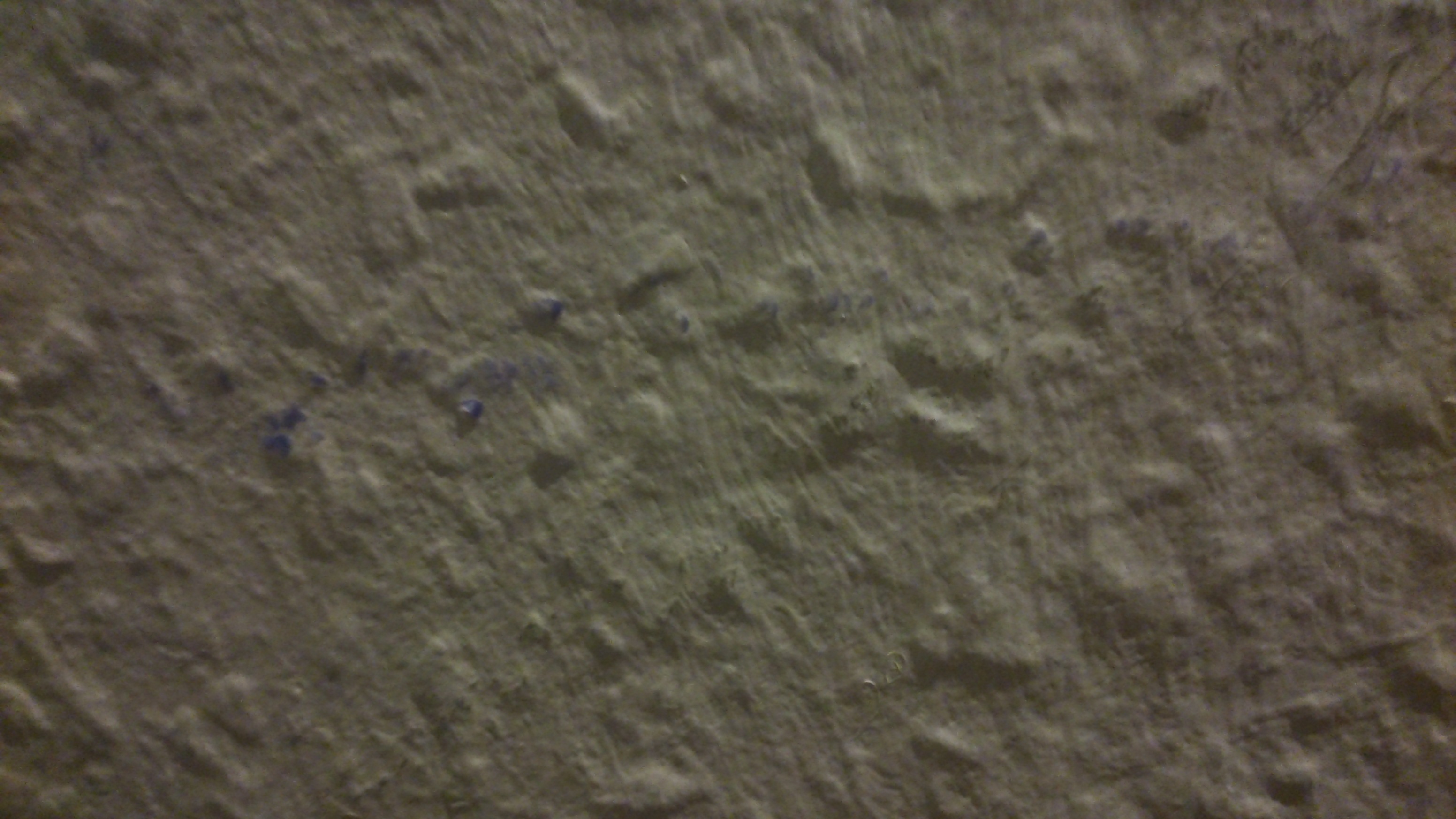Graue Streifen und Flecken an der Wand, was kann das sein? (Schimmel)