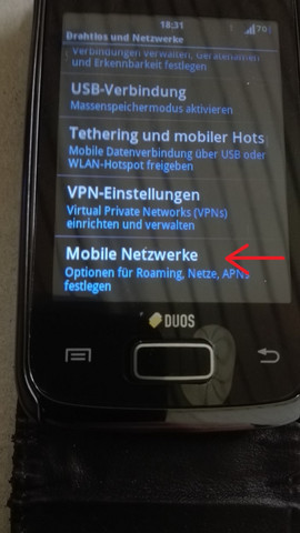 Menü "Mobile Netzwerke" - (iPhone, WLAN)