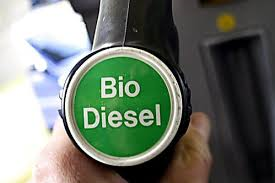 www.google.de - (Technik, Auto, Wissen)
