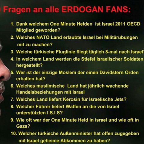 10 fragen an Erdogan Fans  - (Politik, Krieg, Türkei)