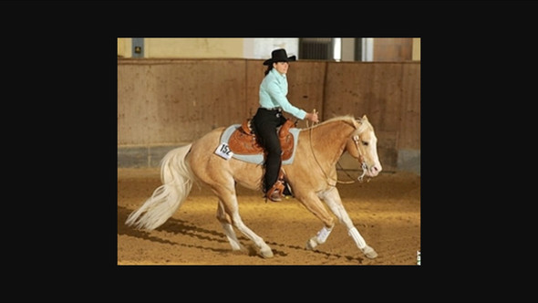 Wie Breit Sollte An Westernstiefeln Die Sporenkante Sein Westernreiten Sporen