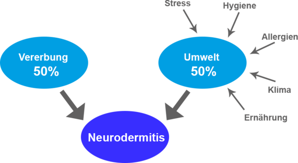 neurodamitis einflüsse - (Haut, Neurodermitis)