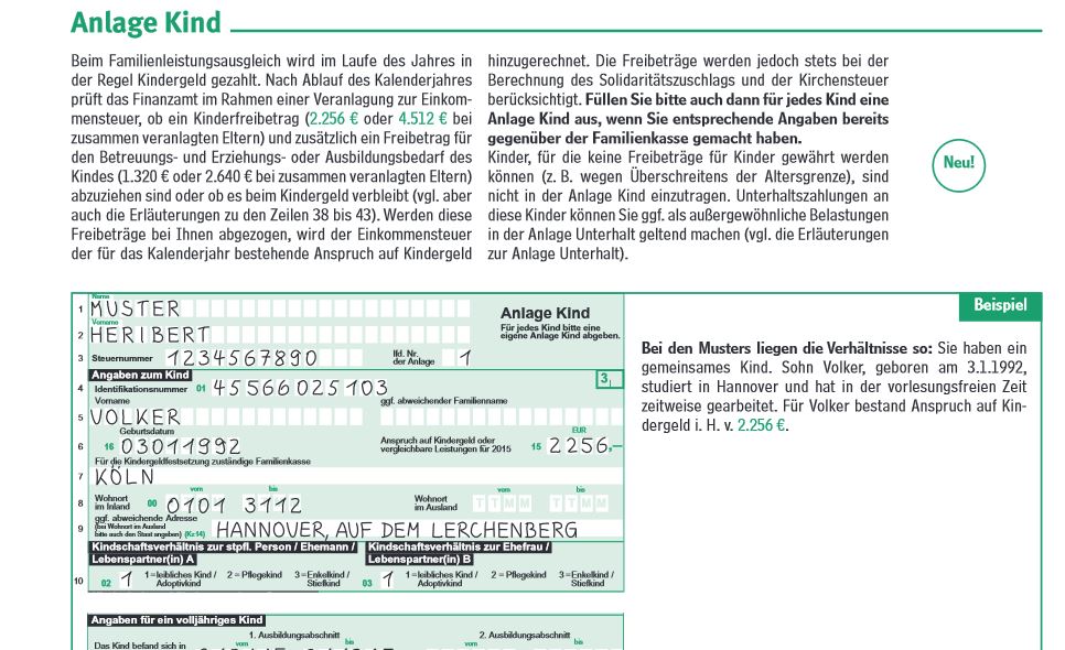 Wie Füllt Man Eine Steuererklärung Aus