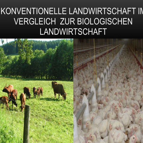 Gliederung Fur Thema Biologische Landwirtschaft Biologie Referat Bio