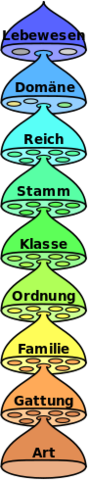 - (Schule, Biologie, Abitur)