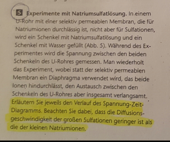 - (Schule, Hausaufgaben, Aufgabe lösen)