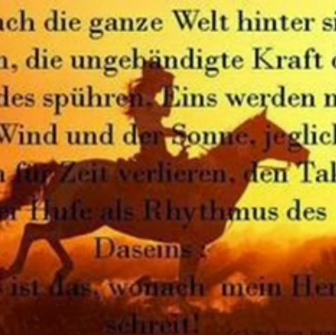 Das ist auch schön - (Pferd, Sprüche)